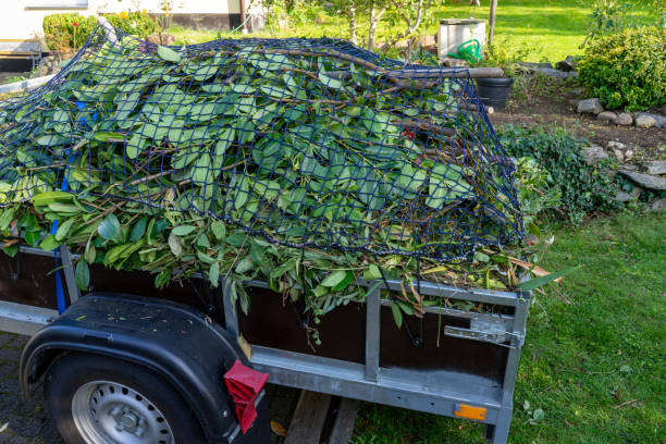 Moving and Downsizing Cleanouts in Rothschild, WI